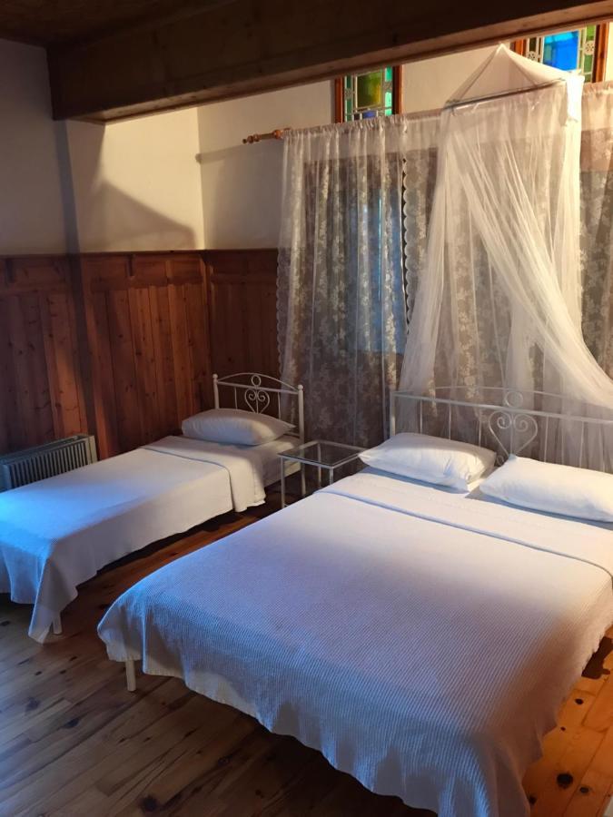 9Mouses Chasiotis Guest House Ampelakia المظهر الخارجي الصورة