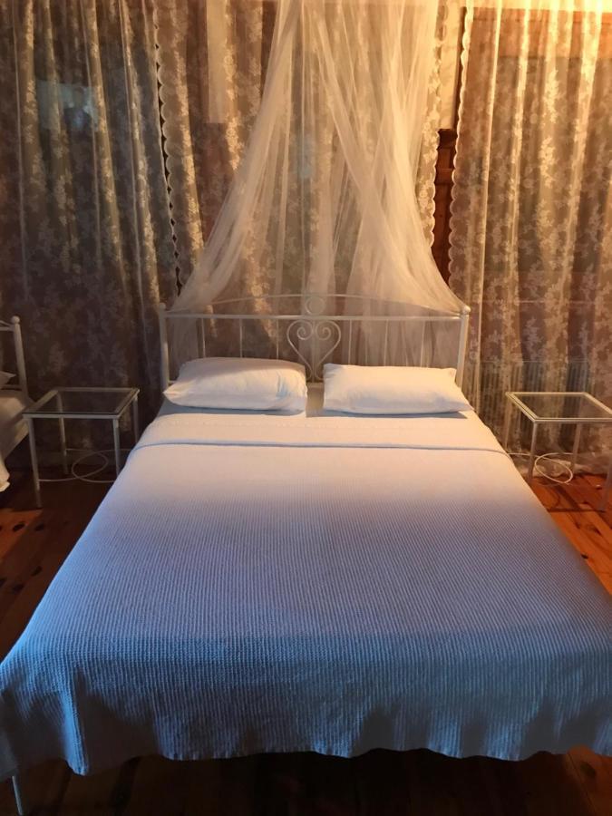 9Mouses Chasiotis Guest House Ampelakia المظهر الخارجي الصورة