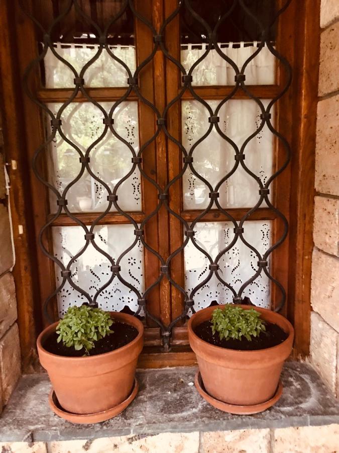 9Mouses Chasiotis Guest House Ampelakia المظهر الخارجي الصورة