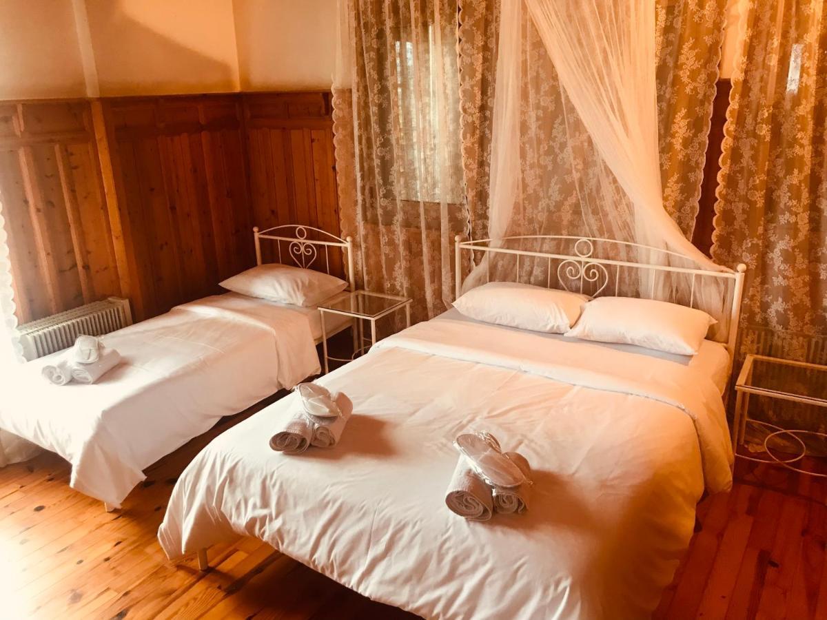 9Mouses Chasiotis Guest House Ampelakia المظهر الخارجي الصورة