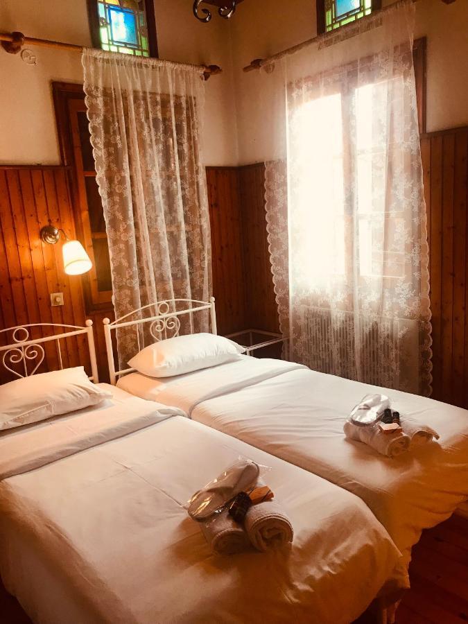 9Mouses Chasiotis Guest House Ampelakia المظهر الخارجي الصورة