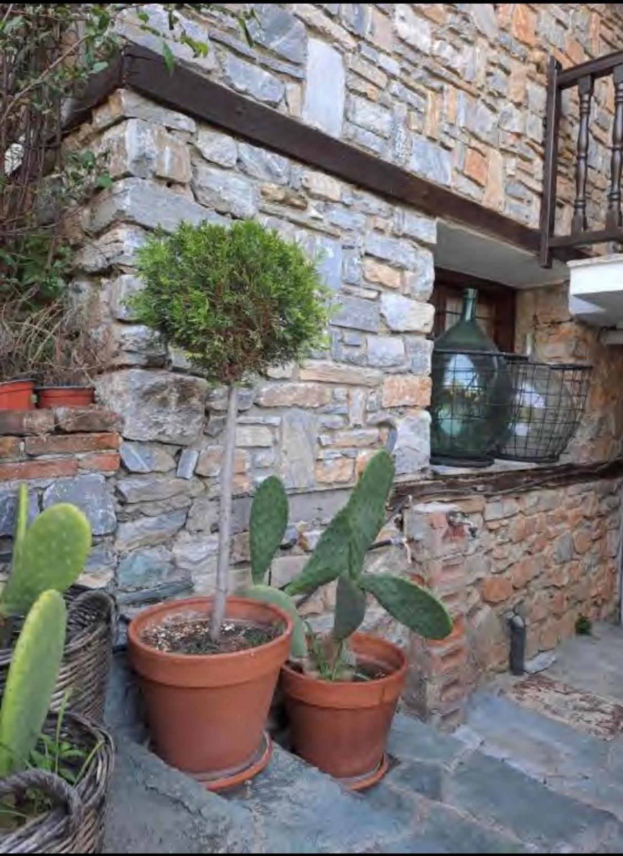 9Mouses Chasiotis Guest House Ampelakia المظهر الخارجي الصورة