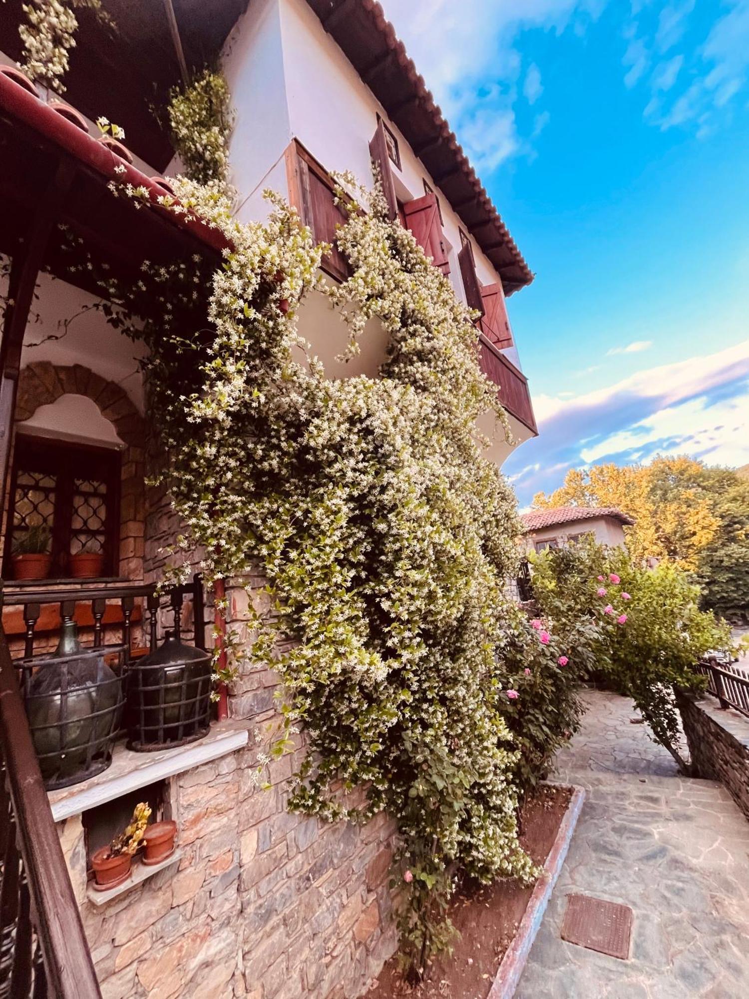 9Mouses Chasiotis Guest House Ampelakia المظهر الخارجي الصورة